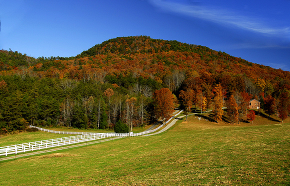 North Carolina Autumn