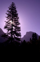 Half Dome, Yosemite