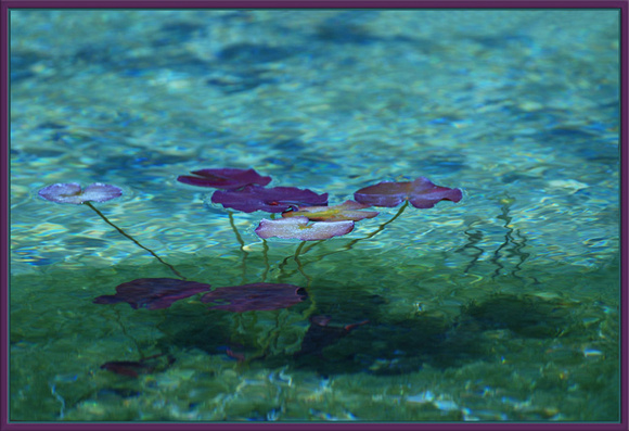 Waterlillies a la Monet
