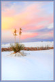 White Sands, New Mexico