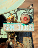 old car, housing birds, Africa